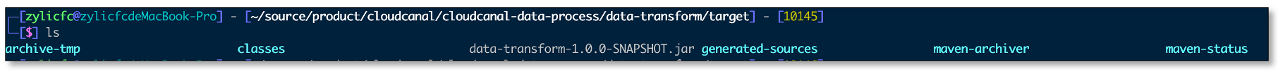 custom_code_4