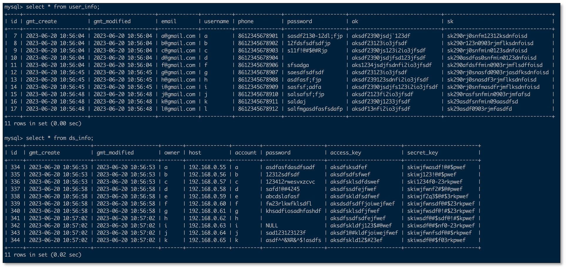 custom_data_1
