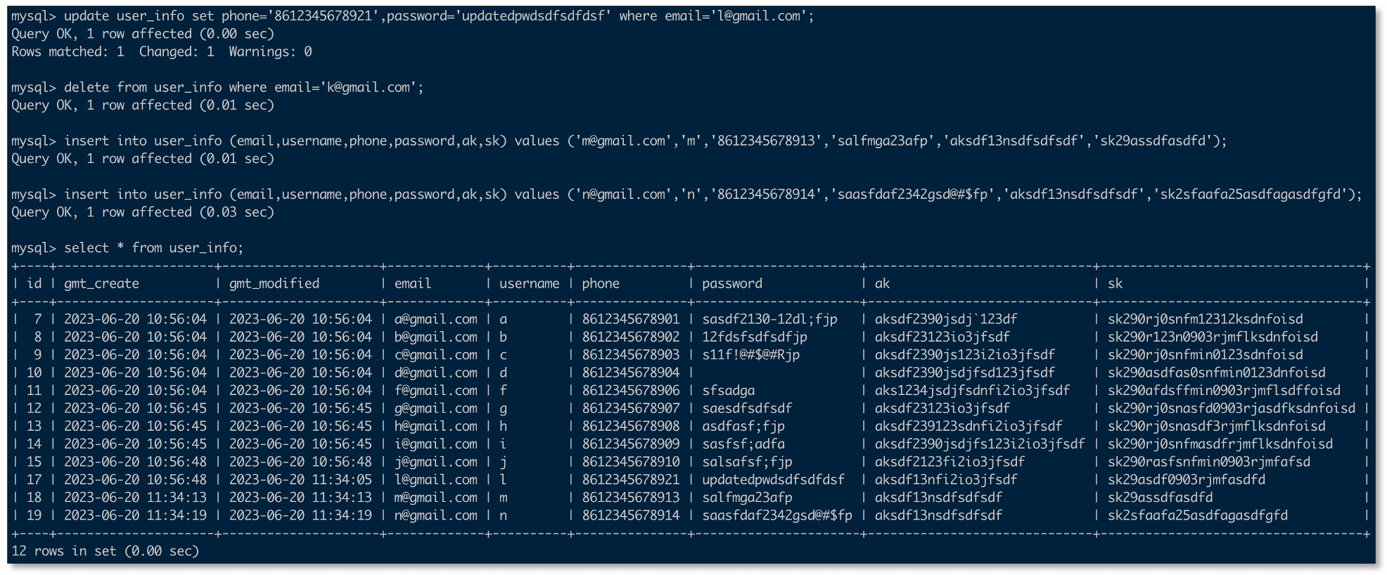 custom_data_1