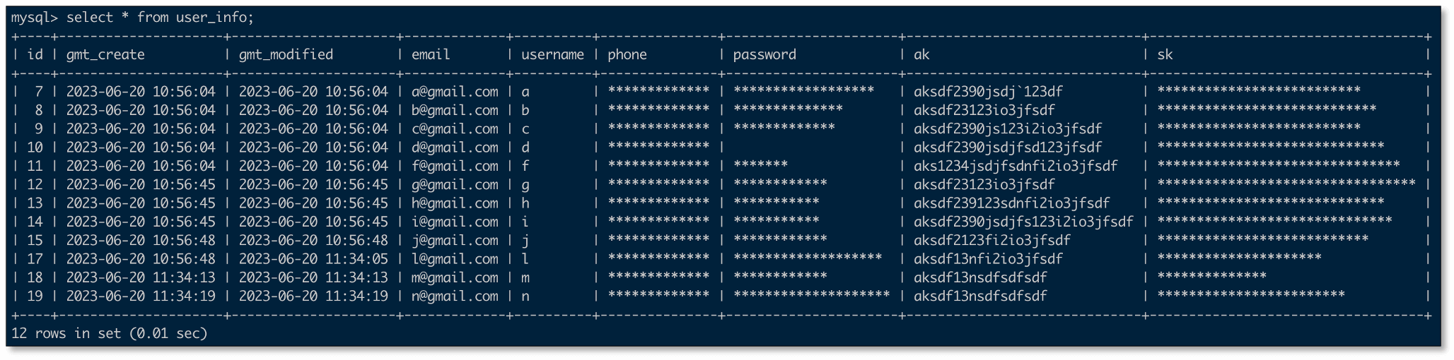 custom_data_1
